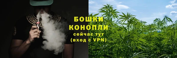 PSILOCYBIN Медногорск