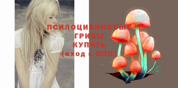 PSILOCYBIN Медногорск