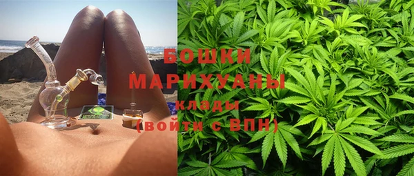 PSILOCYBIN Медногорск