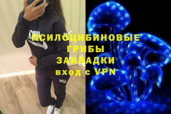 PSILOCYBIN Медногорск