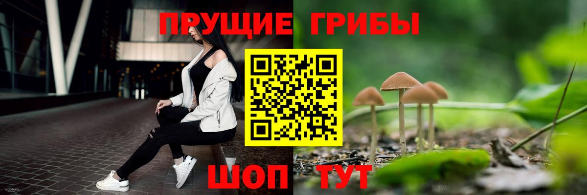 Псилоцибиновые грибы ЛСД  где можно купить наркотик  Муром  Вход с VPN 