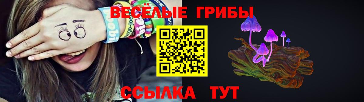 Галлюциногенные грибы Cubensis  Галлюциногенные грибы прущие грибы  Муром 